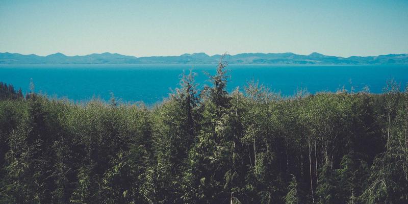 东莞广金机电深度解析:无油螺杆空压机与有油机,谁才是真正的成本王者?