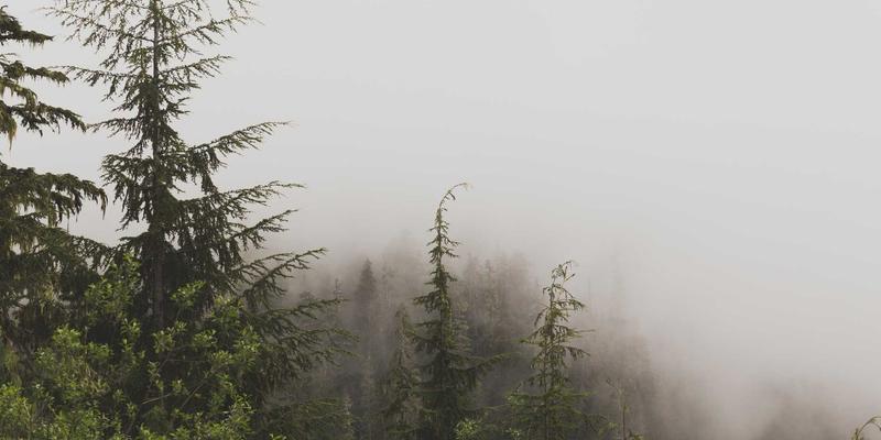 智造升级，能效双赢：解析变频器与伺服系统在自动化产线的协同节能之道