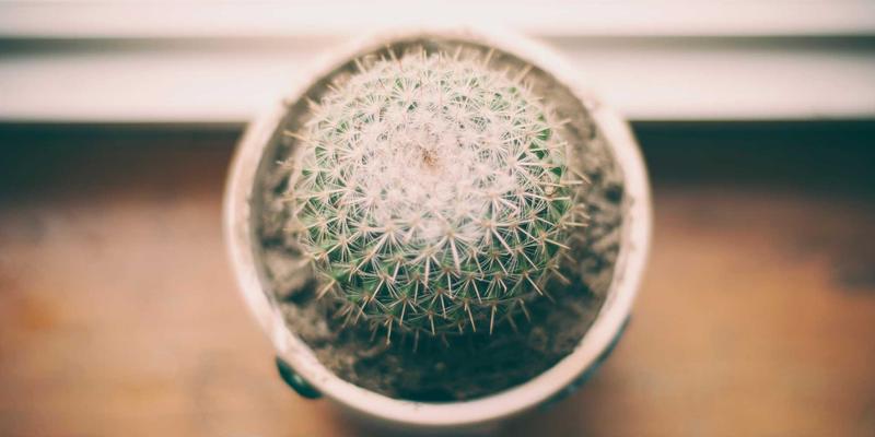 智造未来：东莞广金机电如何以泵阀与传动设备为核心，驱动工业智能转型