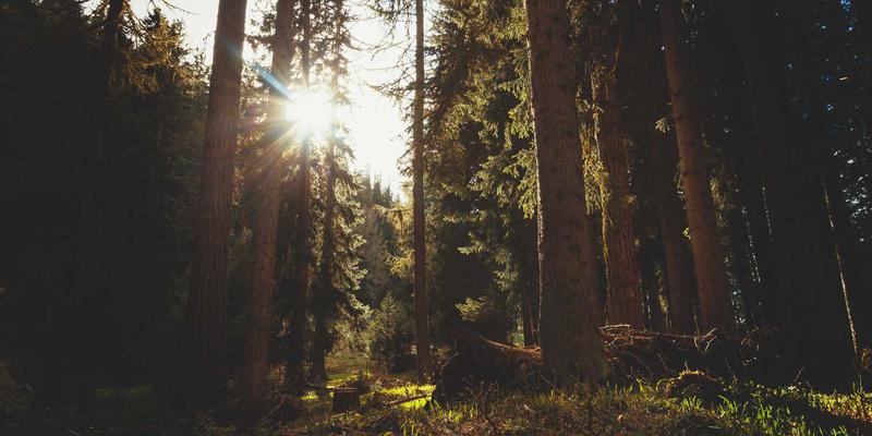 精准高效，稳定运行：东莞广金机电自动化控制与泵阀电机安装调试全攻略