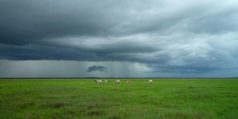 节能革命:东莞广金机电节能型空压机如何颠覆传统设备,实现能效跃升?